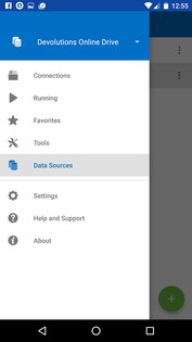 Remote Desktop Manager 2025.1.2.5. Скриншот 6