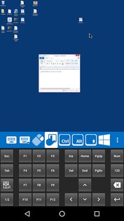 Remote Desktop Manager 2025.1.2.5. Скриншот 7
