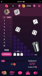 ЗОНК Про 1.0.37. Скриншот 1
