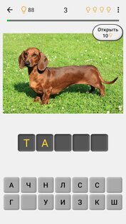 Собаки – фото-тест про популярные породы собак 3.4.0. Скриншот 2