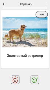 Собаки – фото-тест про популярные породы собак 3.4.0. Скриншот 5