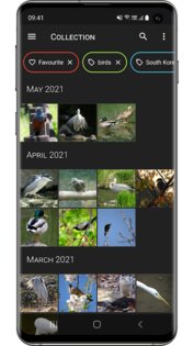 Aves Gallery 1.13.2. Скриншот 1