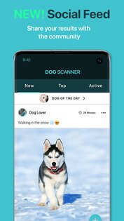 Dog Scanner – породы собак 17.2.5. Скриншот 4