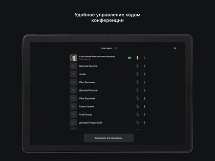 DION – сервис видео конференций 5.31.3. Скриншот 7