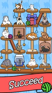 Cat Condo 1.0.2. Скриншот 4