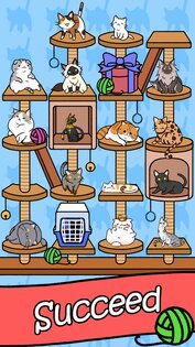 Cat Condo 1.3. Скриншот 5