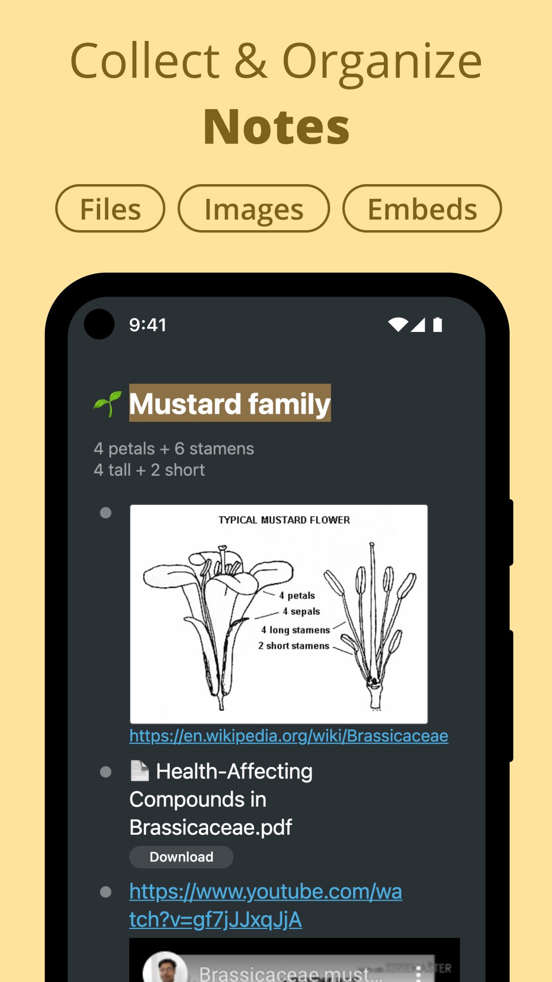 Workflowy – Notes, Lists & Charts 4.0.2210051141