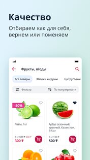 MagnumGO 4.2.10. Скриншот 3