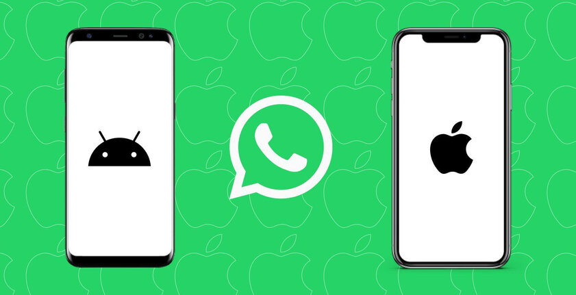 Как перенести чаты WhatsApp с Android на iPhone: не всё так просто