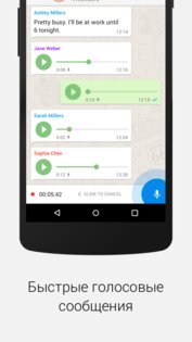 Typi Messenger 2.1.4. Скриншот 5
