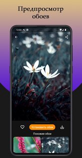 Темы для Xiaomi и Redmi 7.5. Скриншот 6
