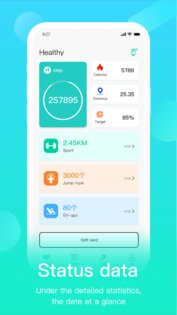 HryFine 3.7.9. Скриншот 1
