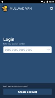 Mullvad VPN 2025.1. Скриншот 5