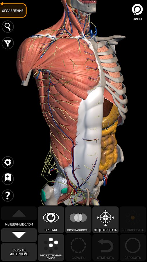 Anatomy – 3D Atlas 4.0.7