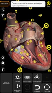 Анатомия - 3D Атлас 6.1.0. Скриншот 2