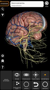 Анатомия - 3D Атлас 6.1.0. Скриншот 5