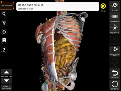 Анатомия - 3D Атлас 5.0.0. Скриншот 9