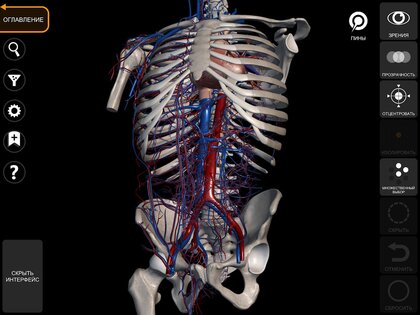 Анатомия - 3D Атлас 5.0.0. Скриншот 12