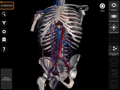 Анатомия - 3D Атлас 6.1.0. Скриншот 12