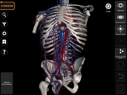 Анатомия - 3D Атлас 6.6.1. Скриншот 12