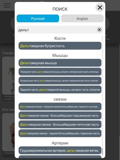 Анатомия - 3D Атлас 6.6.1. Скриншот 24