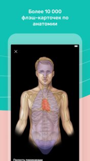 Easy Anatomy - Атлас & Тесты 1.9.1. Скриншот 3