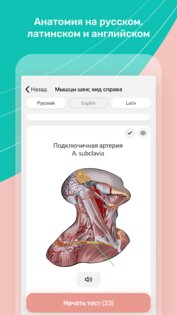 Easy Anatomy - Атлас & Тесты 1.9.0. Скриншот 4