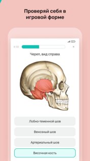 Easy Anatomy - Атлас & Тесты 1.9.1. Скриншот 5