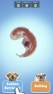 Dog Life Simulator 5.9.0. Скриншот 2