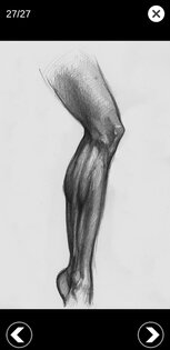 Art Anatomy – 3D анатомия для художников 6.6.1. Скриншот 2