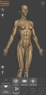 Art Anatomy – 3D анатомия для художников 6.6.1. Скриншот 4