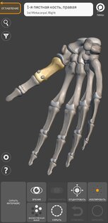 Art Anatomy – 3D анатомия для художников 5.0.0. Скриншот 6