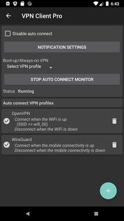 VPN Client Pro 1.01.69. Скриншот 4