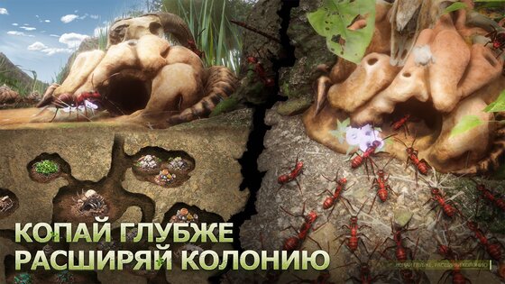 Ant Legion 7.1.157. Скриншот 4