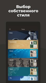 Шахматы – играйте и учитесь 4.6.39. Скриншот 9