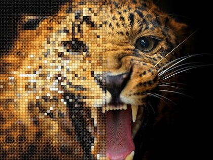 Cross Stitch 2.11.7. Скриншот 25