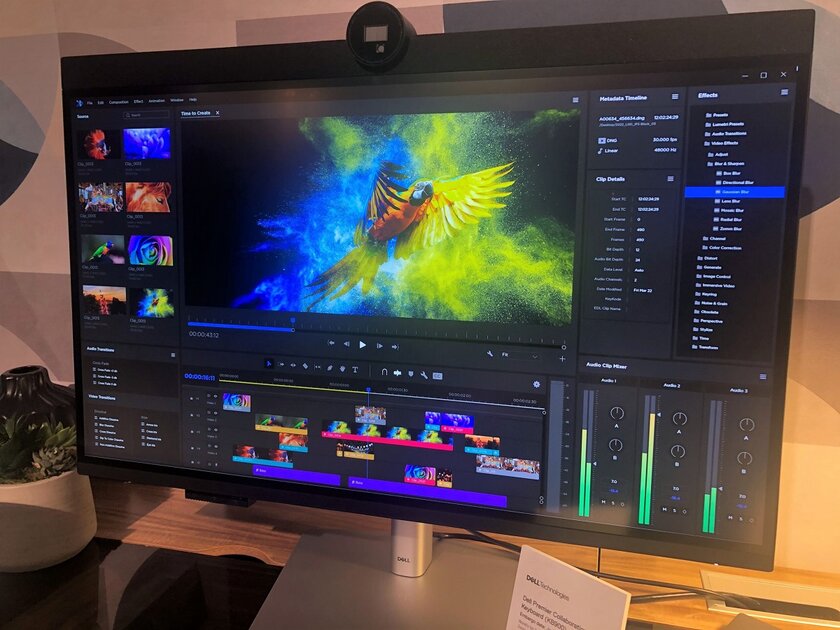 32 дюйма, 6К-разрешение и веб-камера с ИИ: Dell представила конкурента Apple ProDisplay XDR
