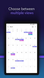 Proton Calendar 2.21.6. Скриншот 14