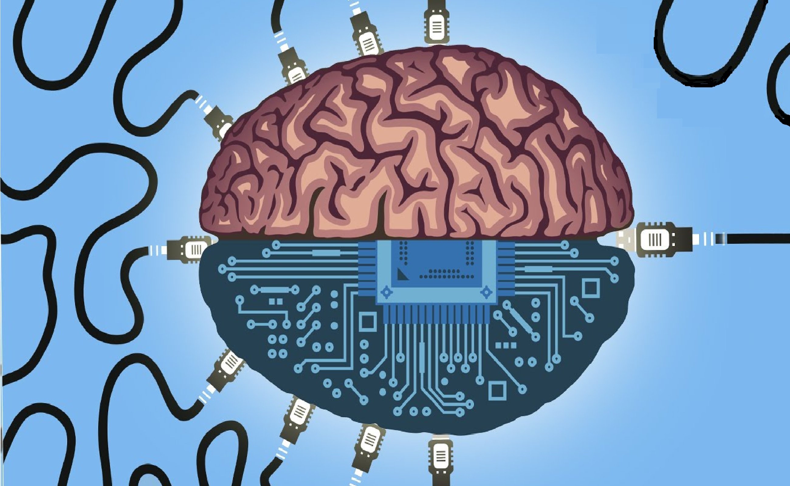 Brain Bumper
