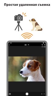 Canon Camera Connect 3.2.0.21. Скриншот 8