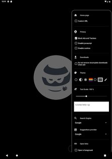 OH Private Browser 1.6.2. Скриншот 7