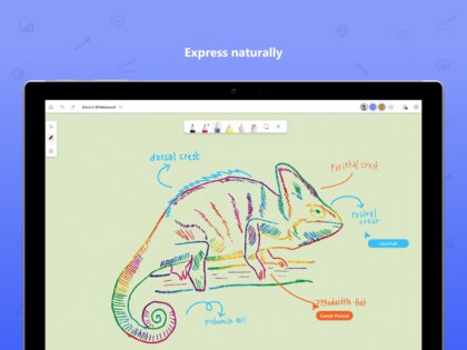 Microsoft Whiteboard 1.301.0.25021818. Скриншот 14