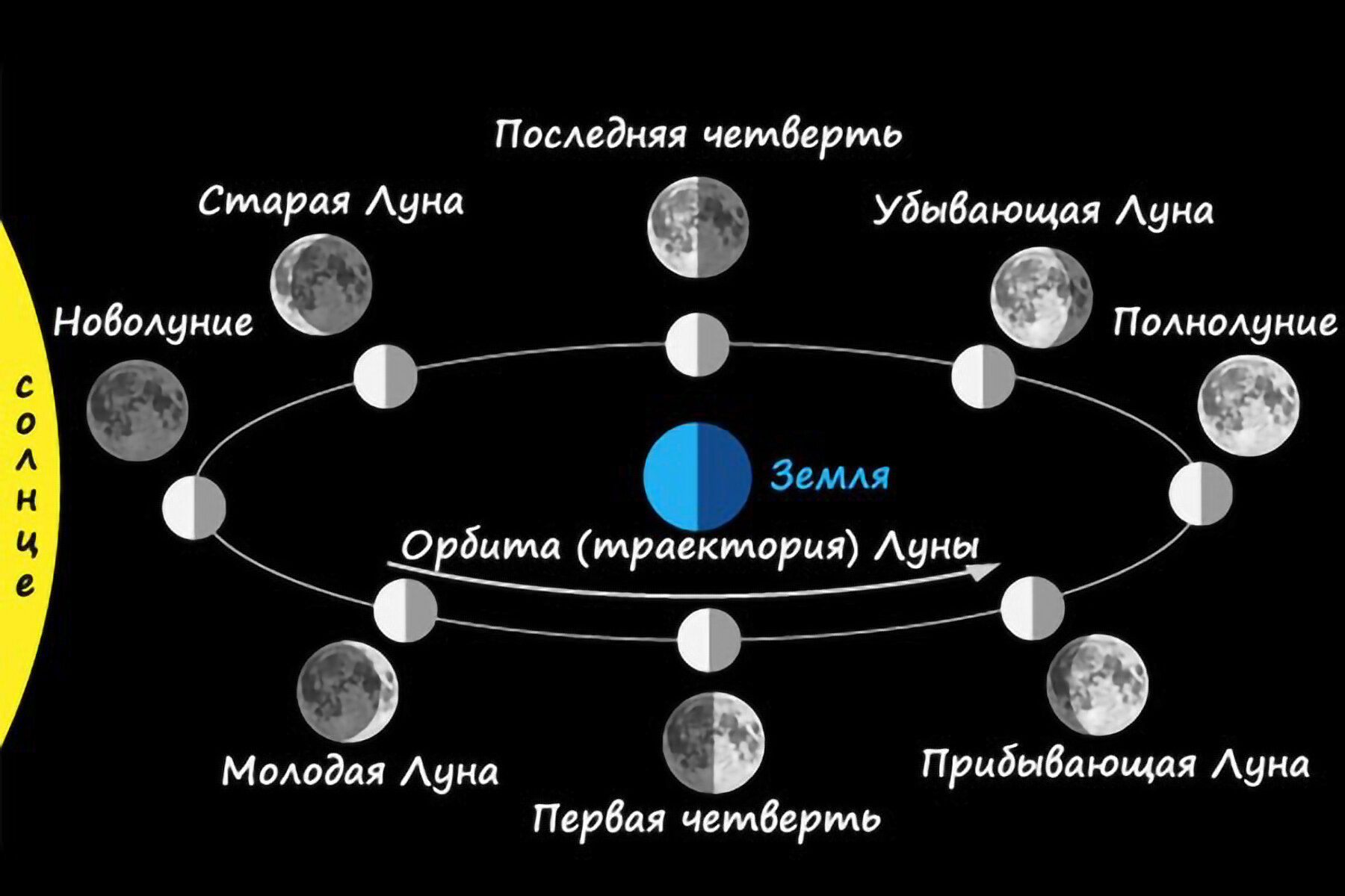 Основные фазы Луны
