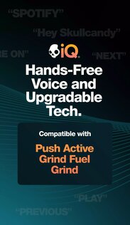 Skull-iQ 2.6.0. Скриншот 1