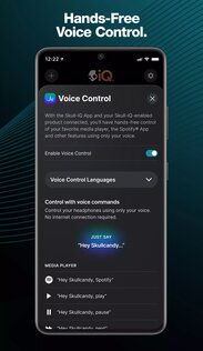 Skull-iQ 2.6.0. Скриншот 3