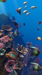 Ocean Aquarium живые обои 1.1. Скриншот 3