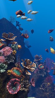 Ocean Aquarium живые обои 1.1. Скриншот 4