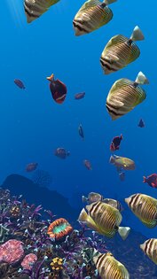 Ocean Aquarium живые обои 1.1. Скриншот 6