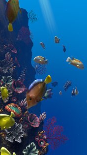 Ocean Aquarium живые обои 1.1. Скриншот 7