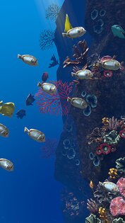 Ocean Aquarium живые обои 1.1. Скриншот 9